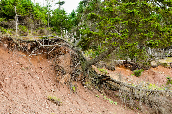 How to Stay Safe During a Mudslide