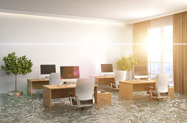 What Should You Know About Your Restoration Company