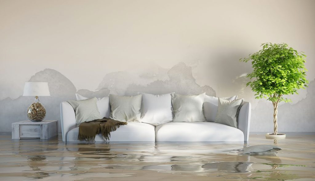 Water Damage Cleanup – The Safe Way