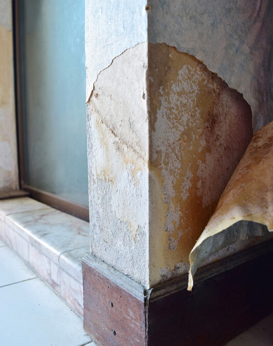 The Dangers of Mold: What You Need To Know