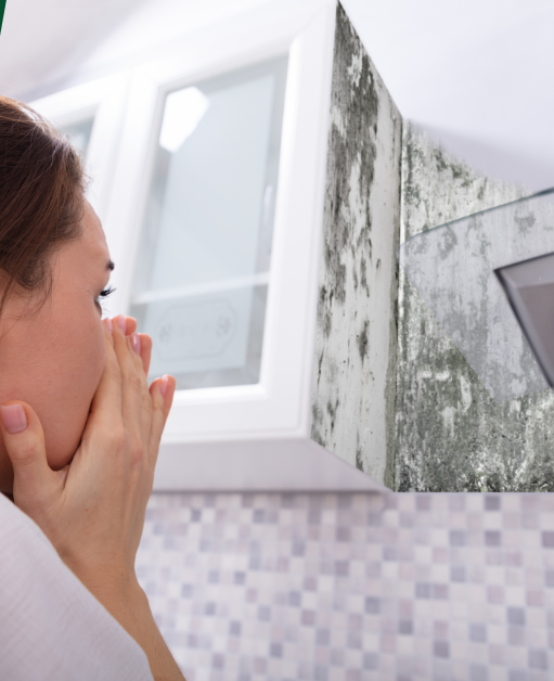 How To Identify The Most Common Types of Molds