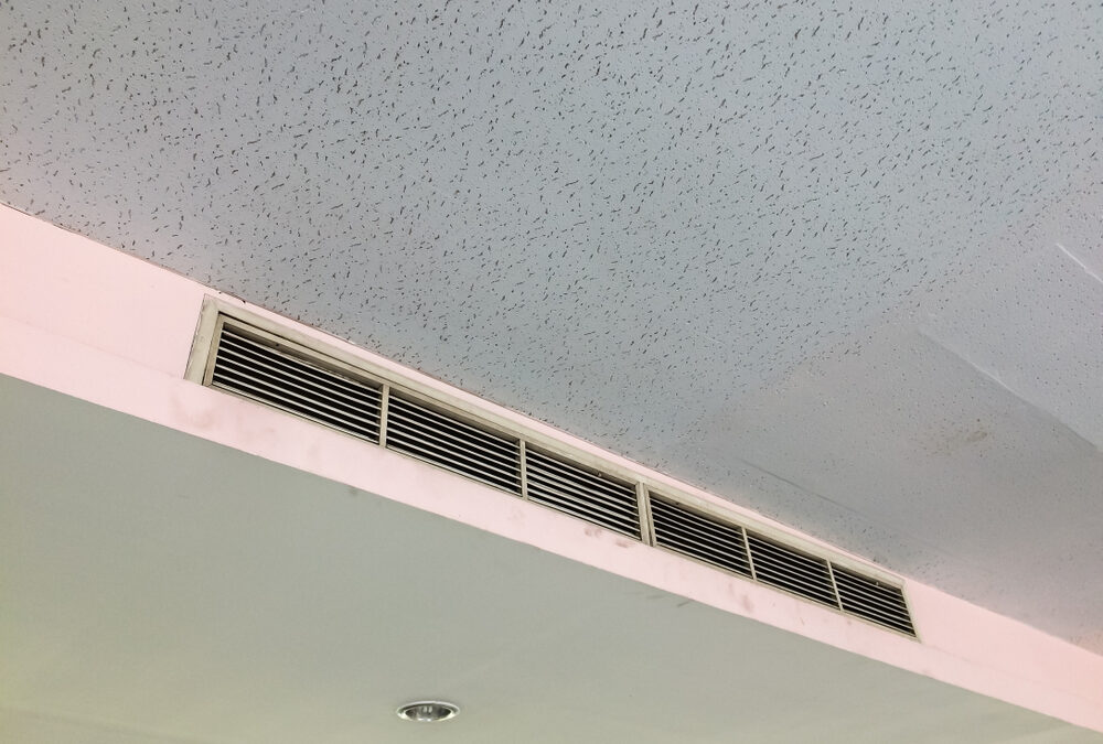 5 Tips For Avoiding Mold in the Future